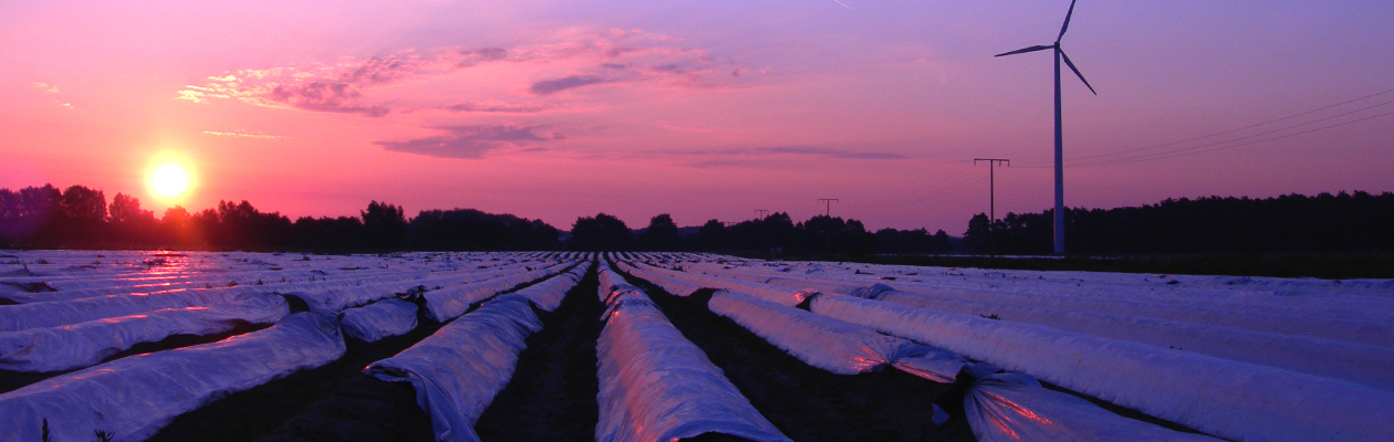 sonnenuntergang